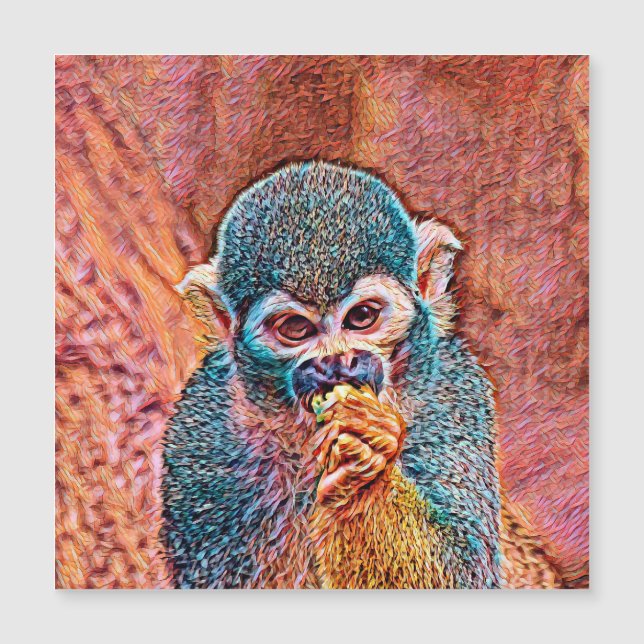AnimalMix_Monkey_001 (Front)