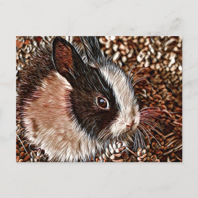 AnimalMix_Rabbit_005 Postcard (Front)