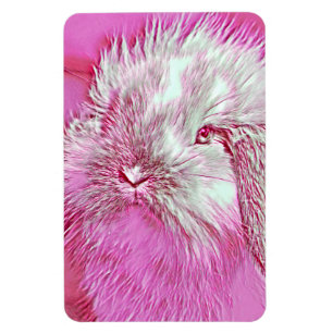 AnimalMix_Rabbit_008 Magnet