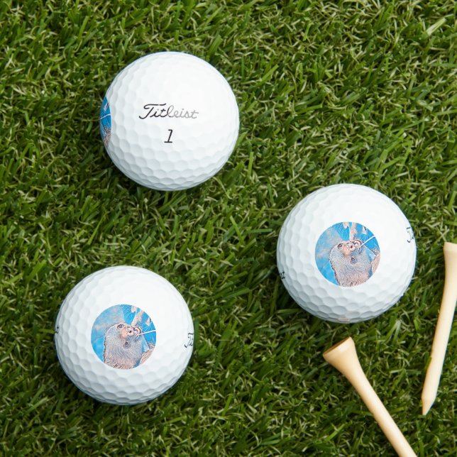AnimalMix_Sloth_001 Golf Balls (Insitu Grass)