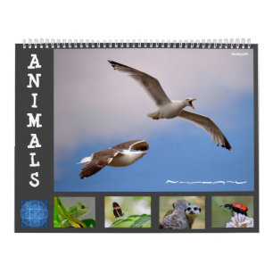 Animals 12 month calendar