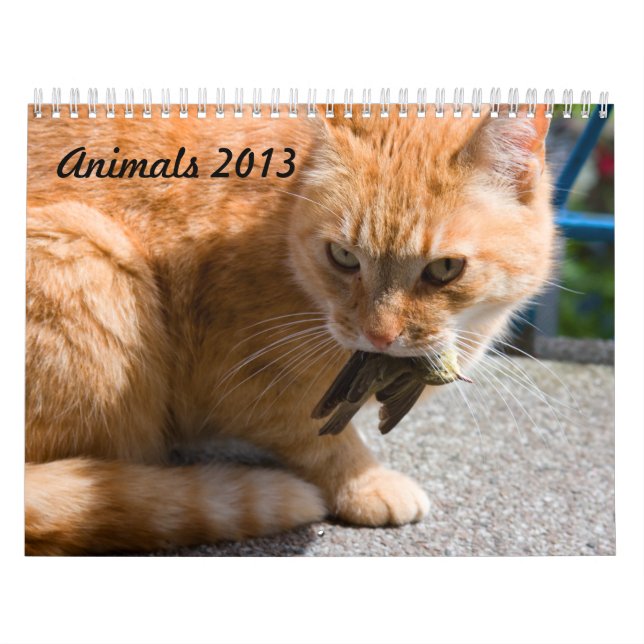 Animals 2013 calendar (Cover)