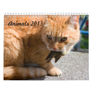 Animals 2013 calendar