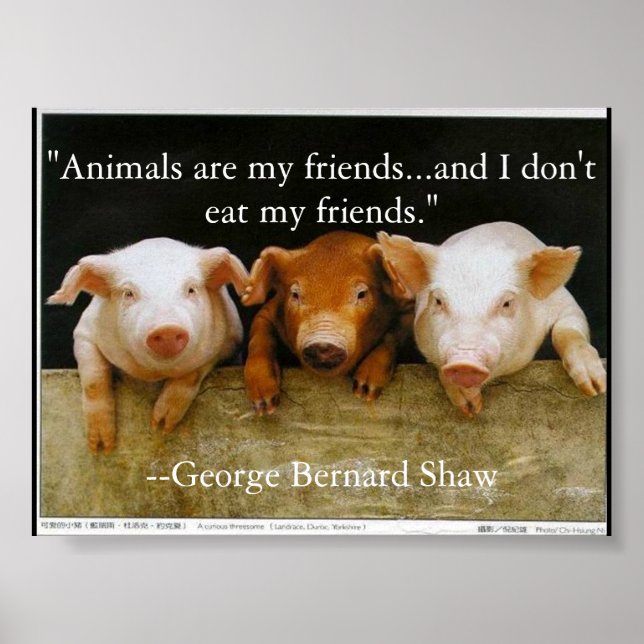 animals are my friends poster (Front)