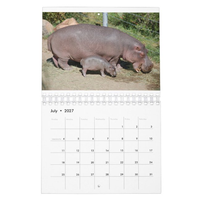 Animals around the world 5.5" x 7" 2021 calendar (Jul 2027)