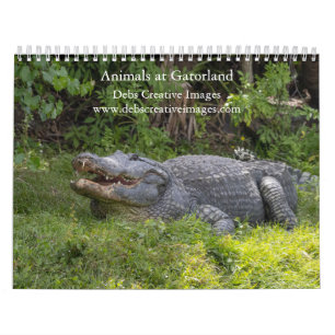 Animals at Gatorland 2025 Calendar