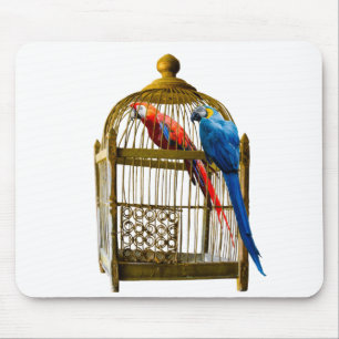 Animals Bird Cat Parrot Cage Locked Freedom Jail Mouse Pad