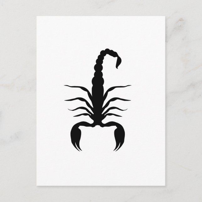 Animals Black Scorpion Scorpio Gift Idea Invitation Postcard (Front)