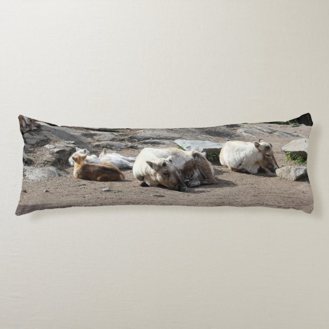 Animals Body Pillow (Front)