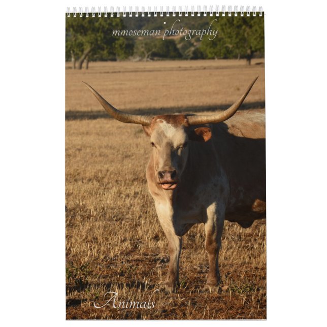 Animals Calendar (Cover)