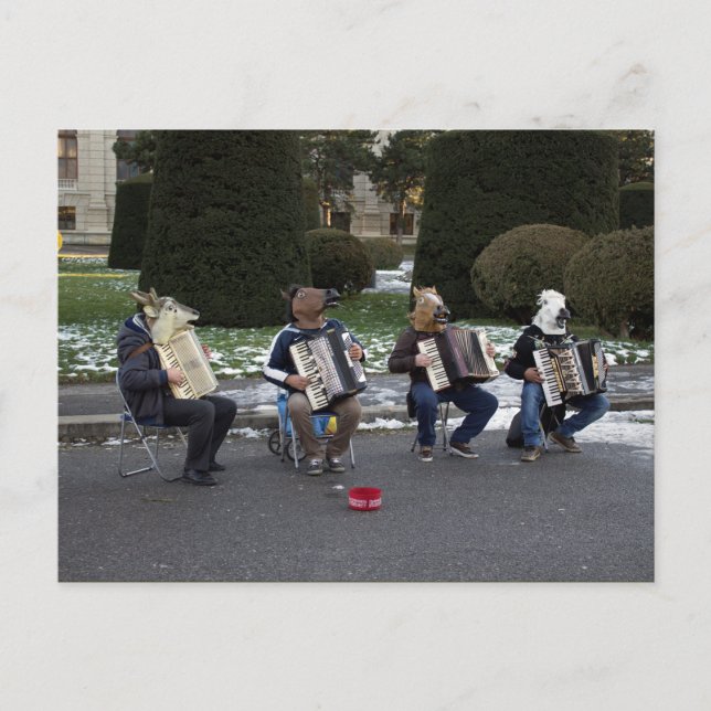 Animal's Concert Postcard (Front)