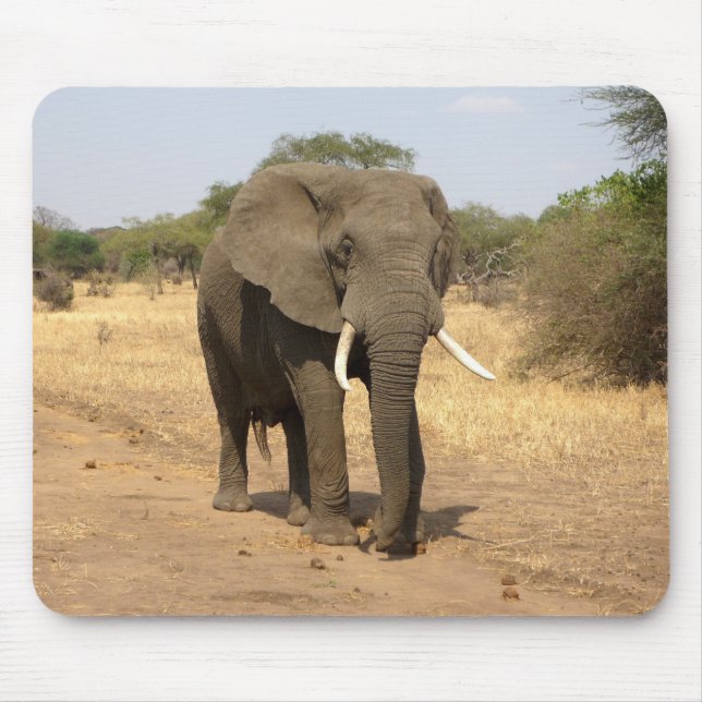 animals, elephants, nature mouse pad (Front)