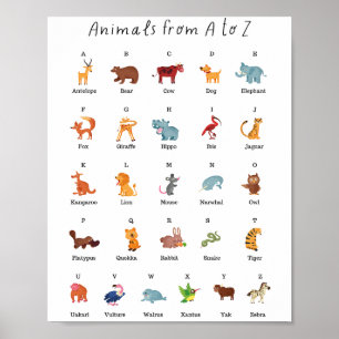 Animals from A to Z School Education Learning Poster