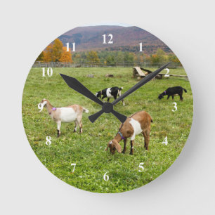 Animals Goats Pasture Vermont Photo Round Clock