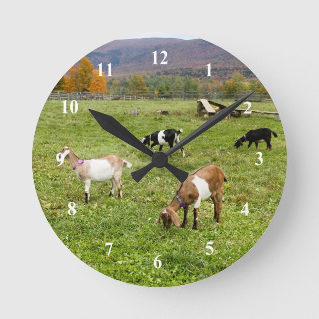 Animals Goats Pasture Vermont Photo Round Clock (Front)