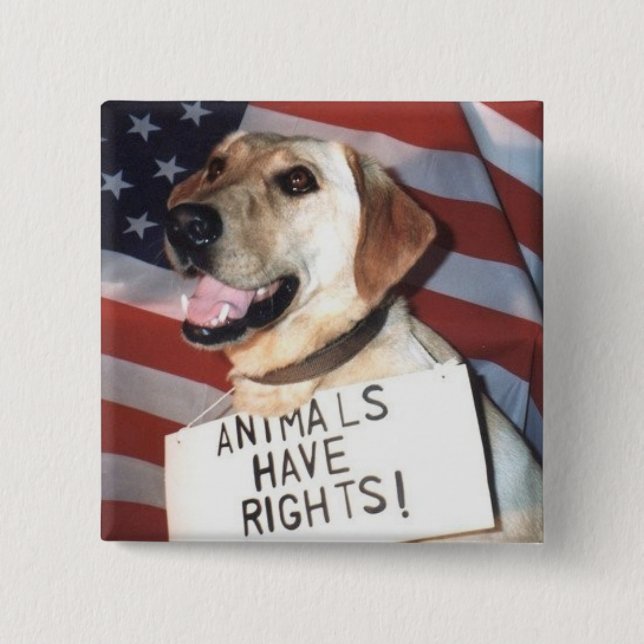 Animals Have Rights 2 Inch Square Button (Front)