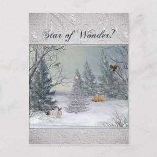Animals in the Winter Forest, Tree with Star, Star Postcard