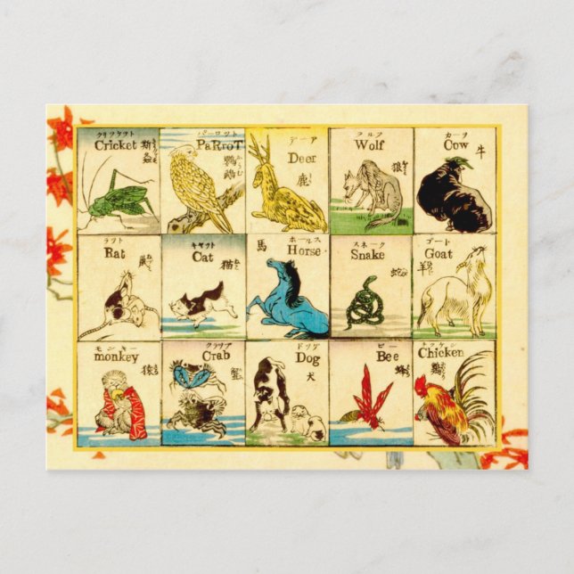 Animals labelled in Japanese & English Postcard (Front)