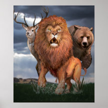 Animals,Lion,Bear and deer, wild animals