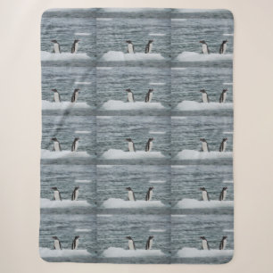 Animals Marine Animal Dive Cozy Destiny Destiny's Sherpa Blanket