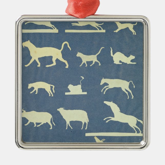 Animals Metal Ornament (Front)