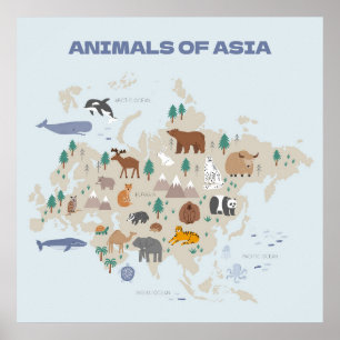 Animals of Asia Illustrated Map Poster