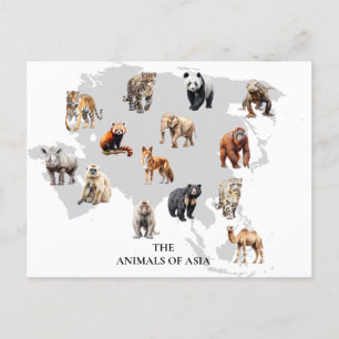 Animals of Asia  Postcard