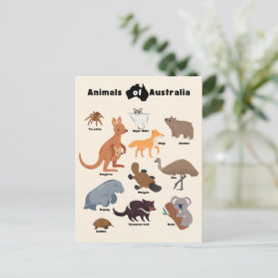 Animals of Australia Aussie Wildlife Postcard
