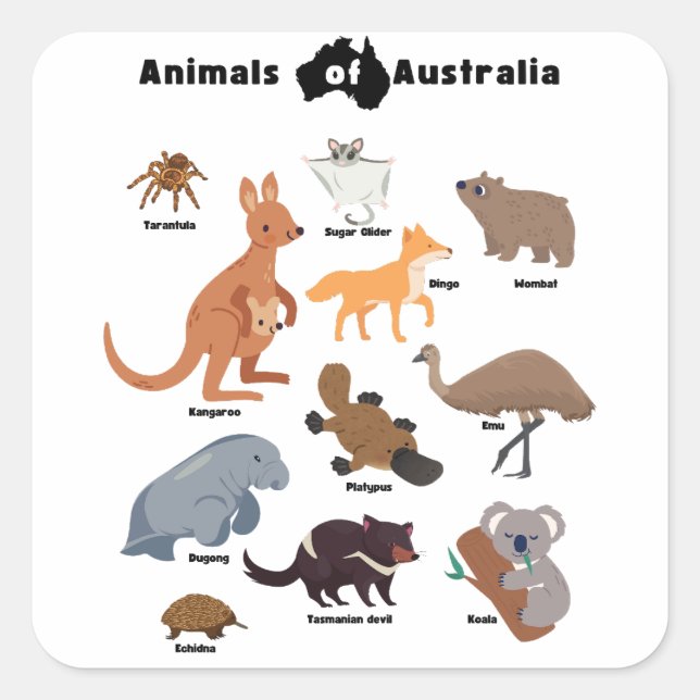 Animals of Australia Aussie Wildlife Square Sticker (Front)