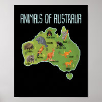 Animals Of Australia Australian Animal Educational