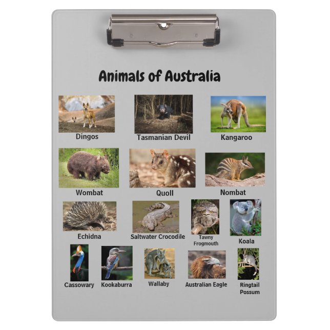 Animals of Australia Clipboard (Front)