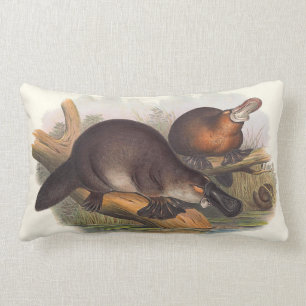 Animals Of Australia Cushions