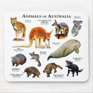 Animals of Australia Mouse Pad