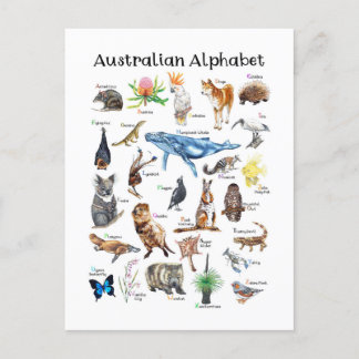Animals of Australia Postcard