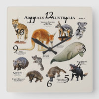 Animals of Australia