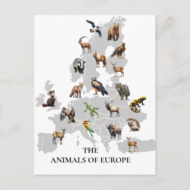 Animals of Europe European Postcard (Front)