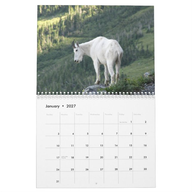 Animals of Glacier National Park 2015 Calendar (Jan 2027)