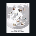 Animals of North Pole Arctic  Postcard<br><div class="desc">This design may be personalized by choosing the Edit Design option. You may also transfer onto other items. Contact me at colorflowcreations@gmail.com or use the chat option at the top of the page if you wish to have this design on another product or need assistance. See more of my designs...</div>