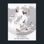 Animals of North Pole Arctic Postcard<br><div class="desc">This design may be personalized by choosing the Edit Design option. You may also transfer onto other items. Contact me at colorflowcreations@gmail.com or use the chat option at the top of the page if you wish to have this design on another product or need assistance. See more of my designs...</div>