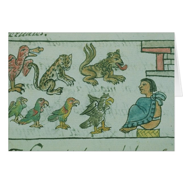 Animals of the Aztec Emperor (Front Horizontal)
