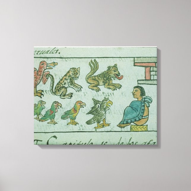 Animals of the Aztec Emperor Canvas Print (Front)