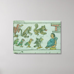 Animals of the Aztec Emperor Canvas Print