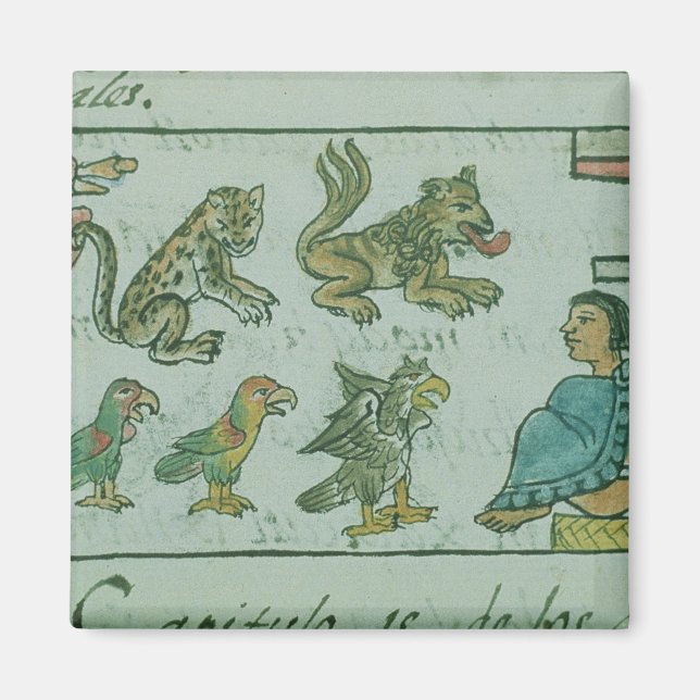 Animals of the Aztec Emperor Magnet (Front)