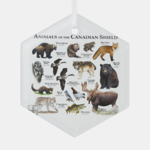 "Animals of the Canadian Shield." Glass Ornament