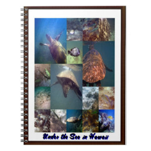 Animals of the sea notebook