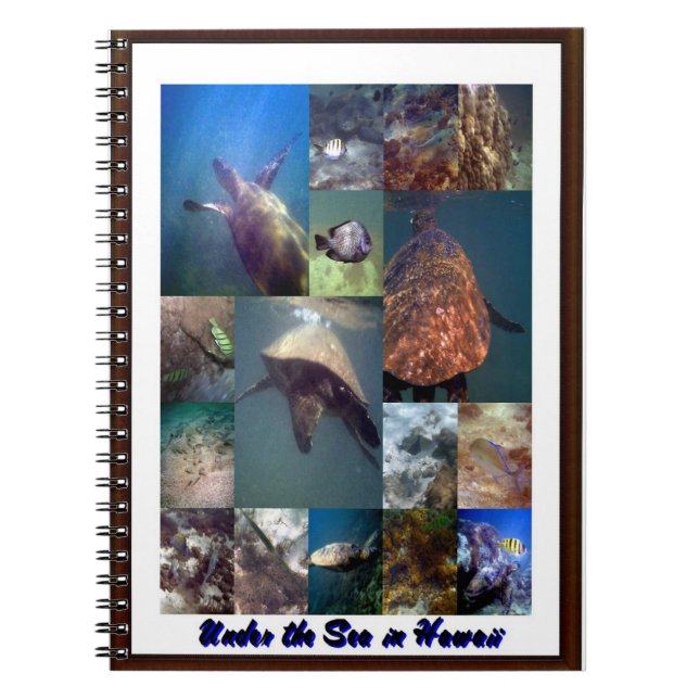 Animals of the sea notebook (Front)