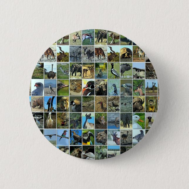 Animals of the world 2 inch round button (Front)