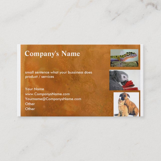 Animals & Pet Care Business Card (Front)