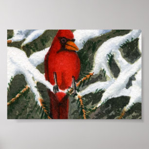 Animals Post Card Size 4" by 6" Poster