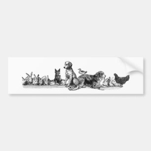 Animals Rescued Bumper Sticker